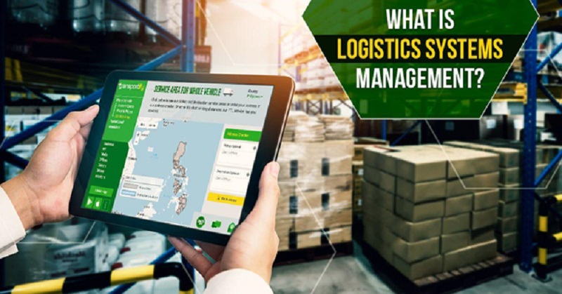 Mastering Logistics Management Systems